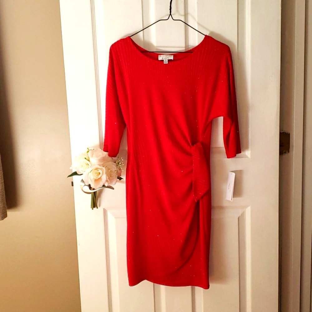 NWT Red stretchy knee length dress